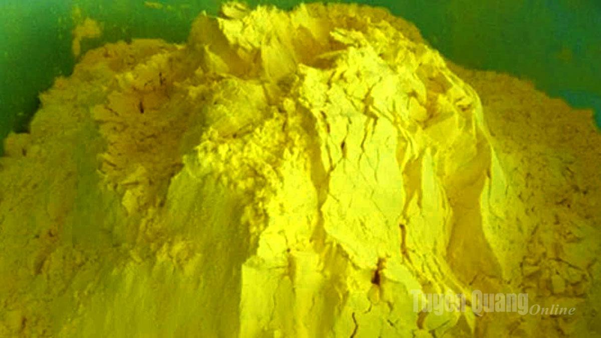 Produto final de amido de cúrcuma após o processamento da cúrcuma fresca.