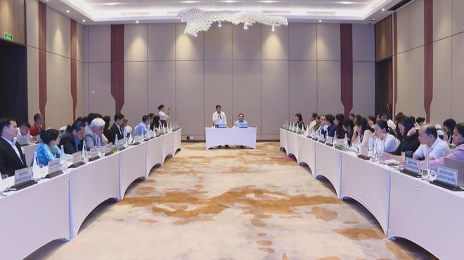 Vươn khơi - Ngày 14/11/2025 | TP. Hồ Chí Minh đẩy mạnh phát triển Hồ Tràm, rừng Bình Châu và cụm cảng CM-TV - Ảnh 1.