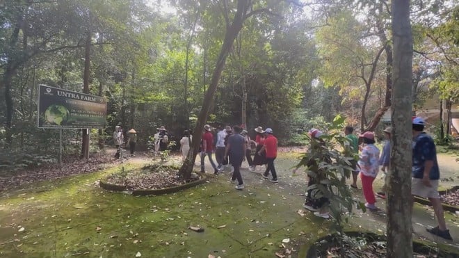 Vươn khơi - Ngày 14/11/2025 | TP. Hồ Chí Minh đẩy mạnh phát triển Hồ Tràm, rừng Bình Châu và cụm cảng CM-TV - Ảnh 3.