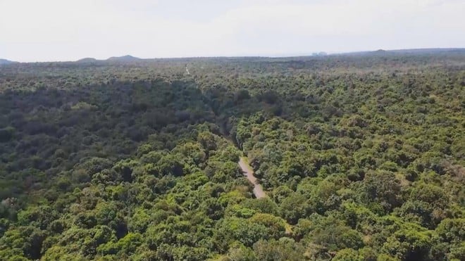 Vươn khơi - Ngày 14/11/2025 | TP. Hồ Chí Minh đẩy mạnh phát triển Hồ Tràm, rừng Bình Châu và cụm cảng CM-TV - Ảnh 4.