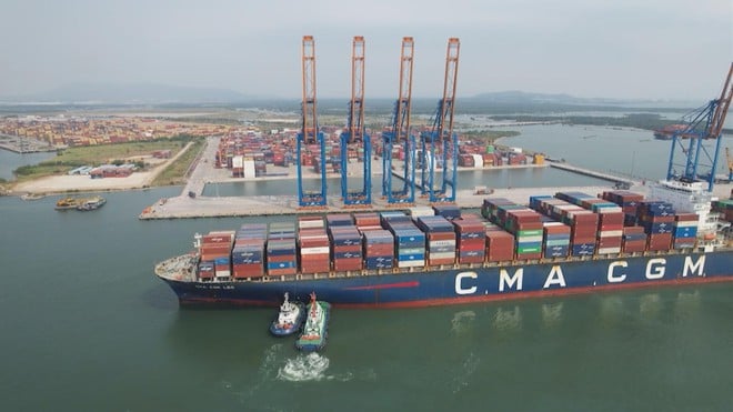 Vươn khơi - Ngày 14/11/2025 | TP. Hồ Chí Minh đẩy mạnh phát triển Hồ Tràm, rừng Bình Châu và cụm cảng CM-TV - Ảnh 3.