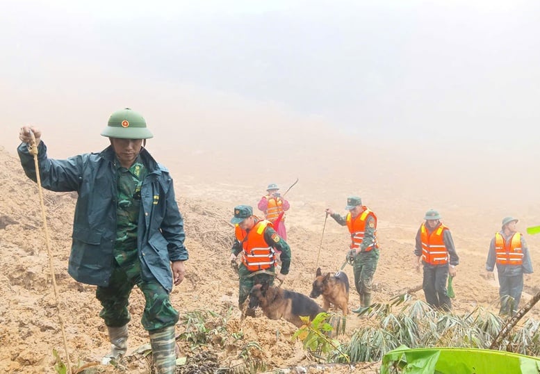 Tăng cường 'cảnh khuyển' tìm kiếm nạn nhân trong vụ sạt lở núi ở Đà Nẵng- Ảnh 1.