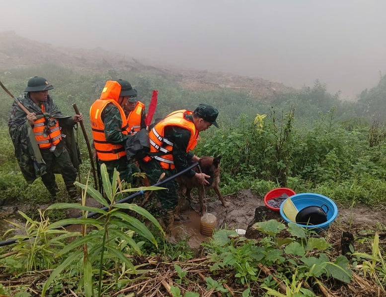 Tăng cường 'cảnh khuyển' tìm kiếm nạn nhân trong vụ sạt lở núi ở Đà Nẵng- Ảnh 2.