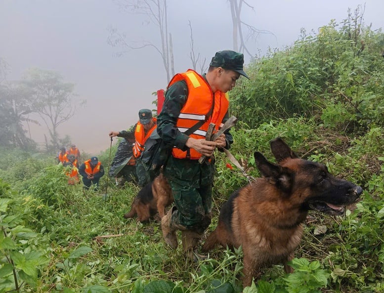 Tăng cường 'cảnh khuyển' tìm kiếm nạn nhân trong vụ sạt lở núi ở Đà Nẵng- Ảnh 3.