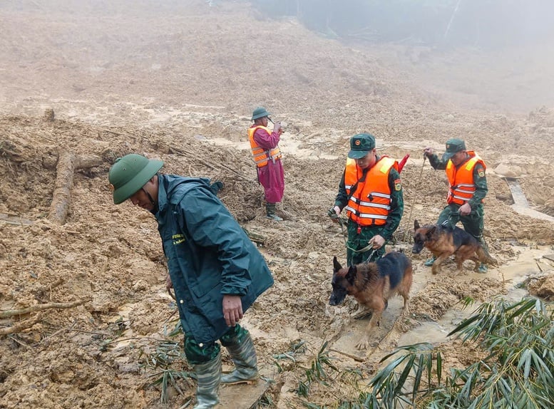 Tăng cường 'cảnh khuyển' tìm kiếm nạn nhân trong vụ sạt lở núi ở Đà Nẵng- Ảnh 4.