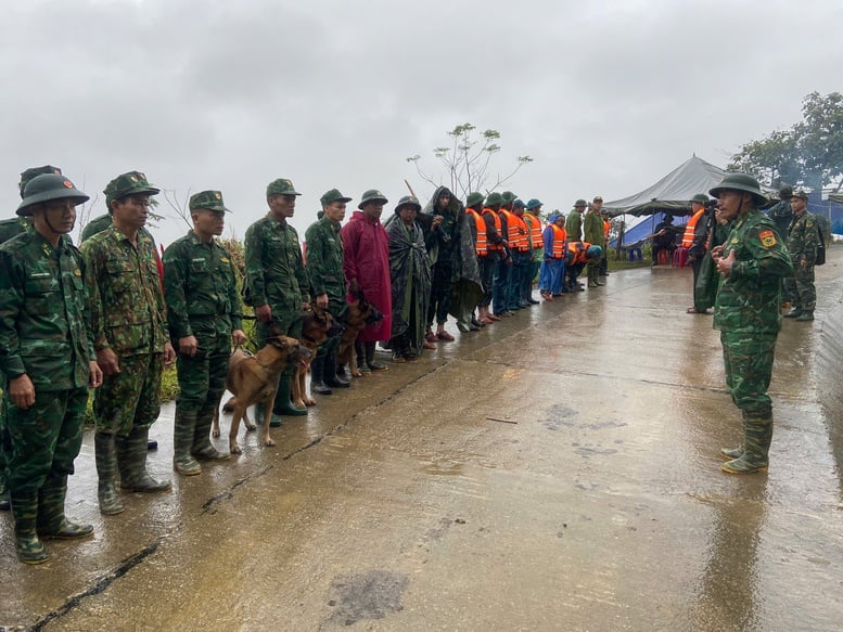 Tăng cường 'cảnh khuyển' tìm kiếm nạn nhân trong vụ sạt lở núi ở Đà Nẵng- Ảnh 6.