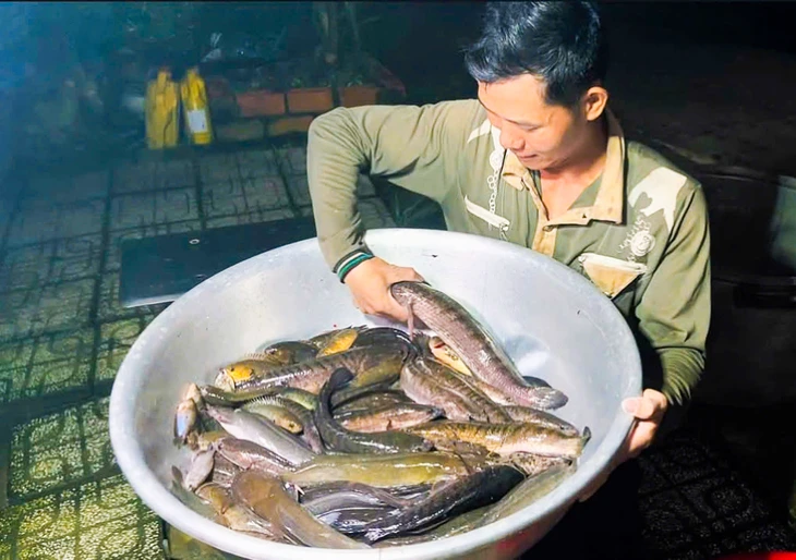 Dân miền Tây cười sảng khoái vì đặt lờ, kéo lưới rùng mùa nước nổi dính nhiều cá đồng - Ảnh 3.
