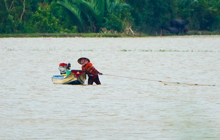 Dân miền Tây cười sảng khoái vì đặt lờ, kéo lưới rùng mùa nước nổi dính nhiều cá đồng - Ảnh 4.