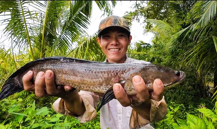 Dân miền Tây cười sảng khoái vì đặt lờ, kéo lưới rùng mùa nước nổi dính nhiều cá đồng - Ảnh 6.