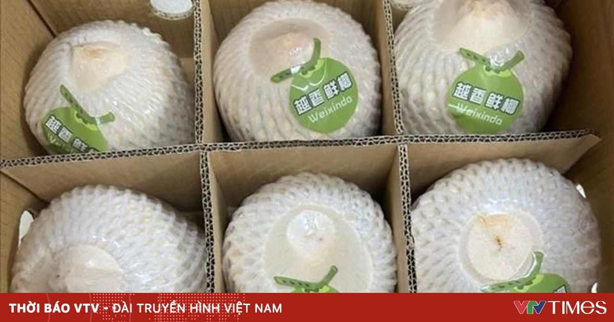 Tăng tính cạnh tranh cho ngành dừa