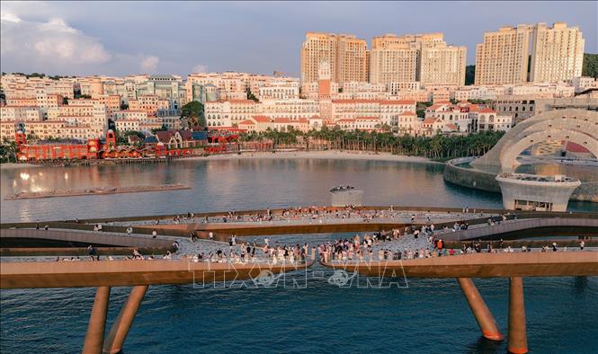 تعليق الصورة