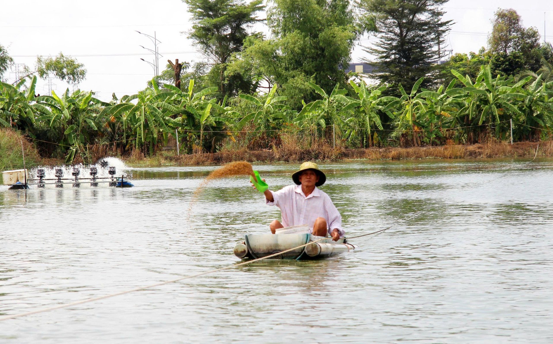 Att bygga en kedja för att skapa grönt värde har blivit en viktig uppgift för företag och produktionsenheter. Foto: Hong Tham. Việc xây dựng chuỗi liên kết để kiến tạo giá trị xanh trở thành nhiệm vụ trọng tâm của các doanh nghiệp và đơn vị sản xuất. Ảnh: Hồng Thắm.