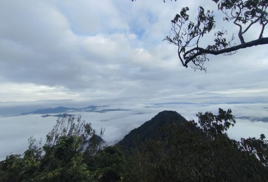 a5Utforska nästan 2 km skogsväg.jpg