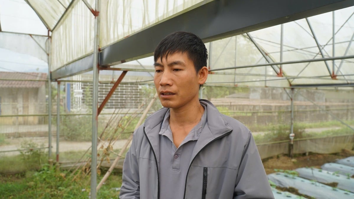 លោក Tran Dinh Vuong បាននិយាយថា ឆ្នាំនេះការដាំបន្លែនៅក្នុងផ្ទះកញ្ចក់គឺជាជោគជ័យដ៏ធំមួយ ដែលគ្រប់គ្រាន់ដើម្បីសងបំណុលទាំងអស់ពីការវិនិយោគលើផ្ទះកញ្ចក់។ រូបថត៖ ឌឹក ប៊ិញ។ Anh Trần Đình Vượng cho biết năm nay trồng rau trong nhà màng thắng lớn, đủ trả hết nợ đầu tư nhà màng. Ảnh: Đức Bình.