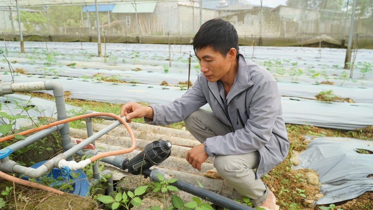 លោក Vuong បានវិនិយោគជាងដប់លានដុងក្នុងម៉ាស៊ីនចម្រោះទឹក ធានាគុណភាពទឹកស្រោចស្រព។ រូបថត៖ ឌឹក ប៊ិញ។ Máy lọc nước được anh Vượng đầu tư hơn chục triêu đồng, đảm bảo chất lượng nước tưới. Ảnh: Đức Bình.