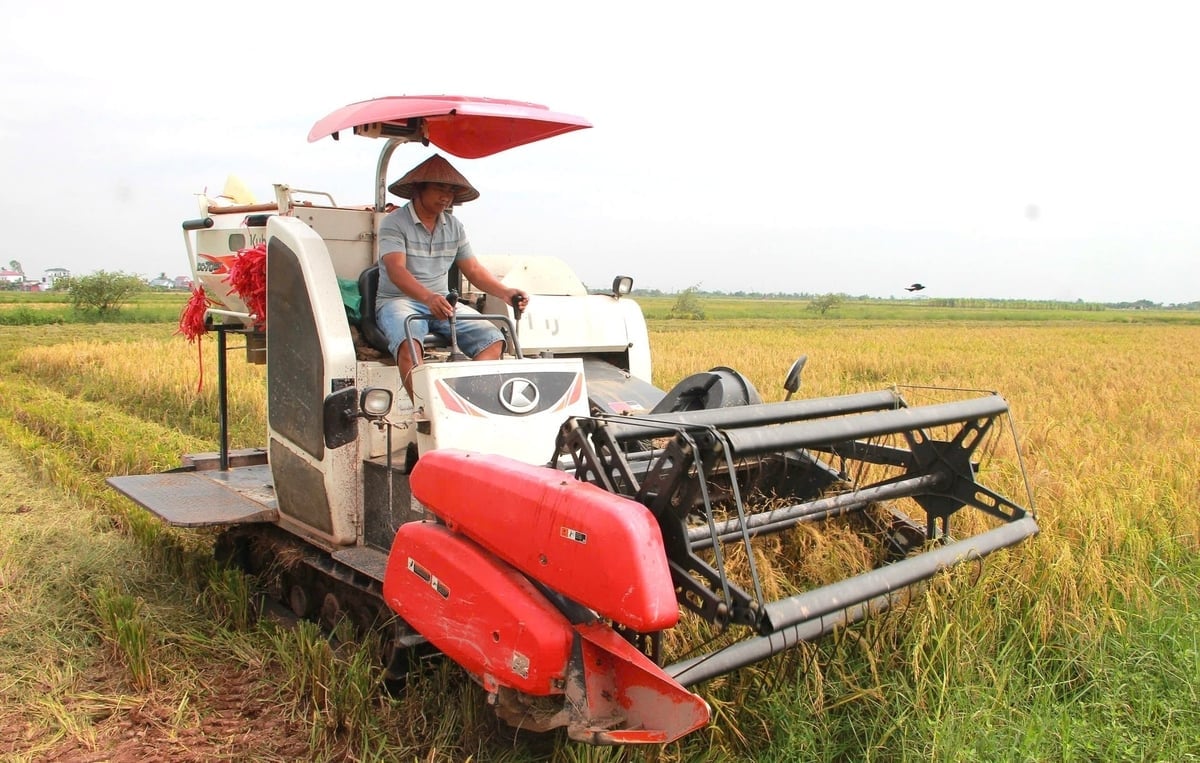 Apesar de ter alcançado sucesso e poder ser considerado o 'chefe', o Sr. Tran Manh Hung ainda opera a colheitadeira de arroz como um verdadeiro agricultor. Foto: Dinh Muoi. Dù đã thành công và đã có thể làm 'ông chủ' nhưng anh Trần Mạnh Hùng trực tiếp lái máy thu hoạch lúa như một nông dân thực thụ. Ảnh: Đinh Mười.
