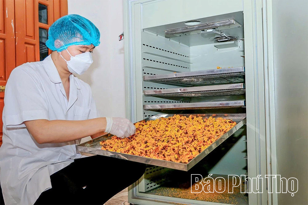 الجيل Z يزرع الذهب على الجبل