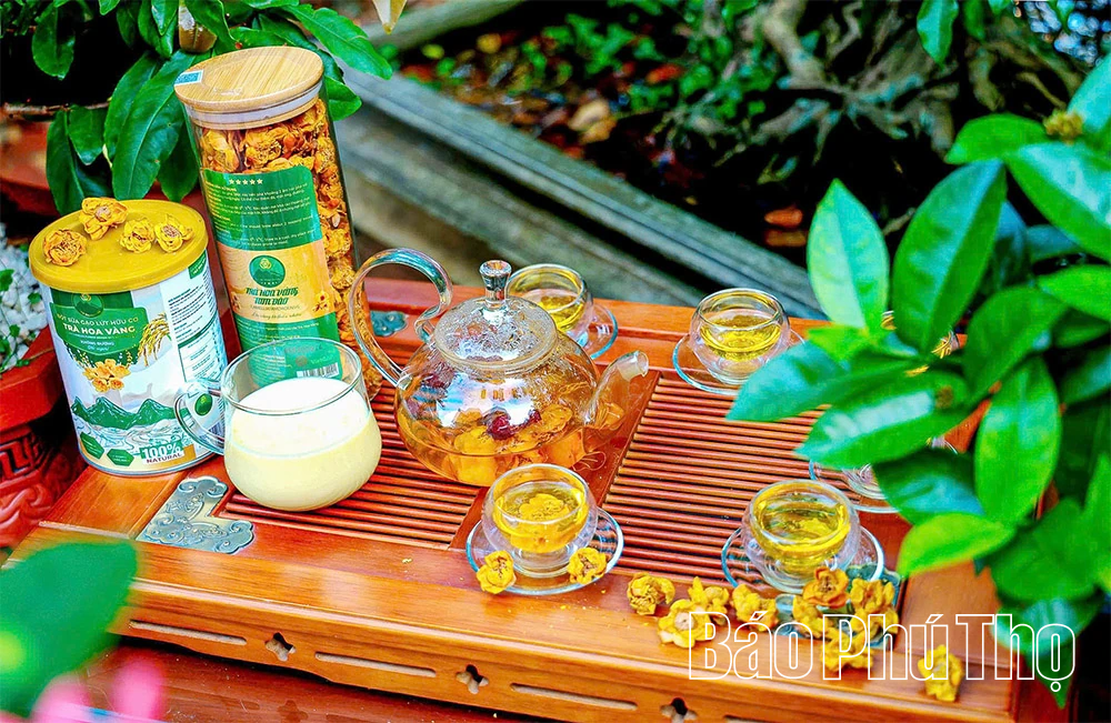 الجيل Z يزرع الذهب على الجبل