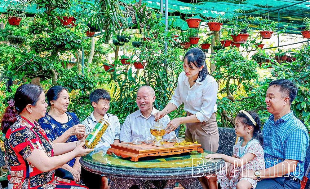 الجيل Z يزرع الذهب على الجبل