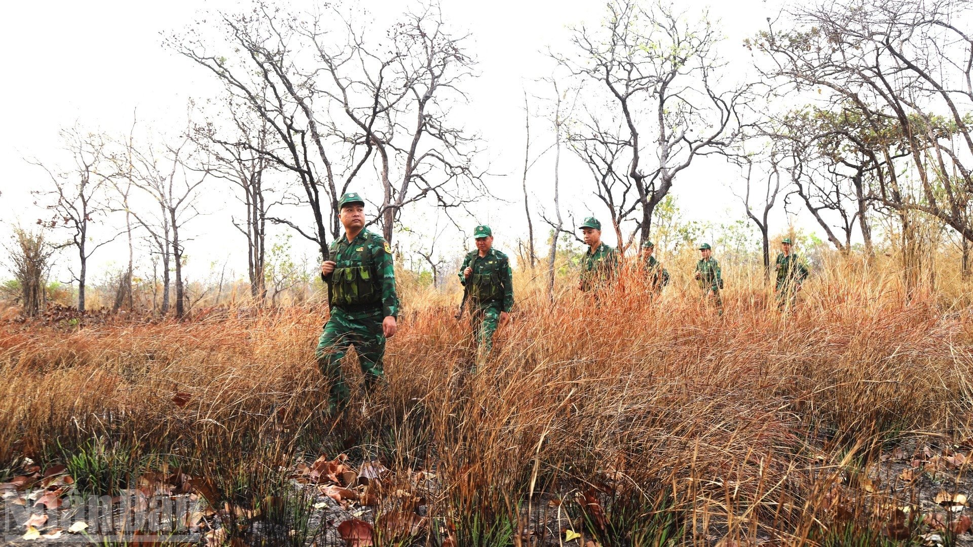 Den tysta eftermiddagsgränsskogen bär fotspåren av Dak Laks gränssoldater. ndo_bl_img-4759-7103.jpg