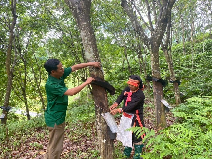 Khổng Lào (Lào Cai) đẩy mạnh ứng dụng khoa học, kỹ thuật, tạo chuyển biến trong giảm nghèo và xây dựng nông thôn mới- Ảnh 2.