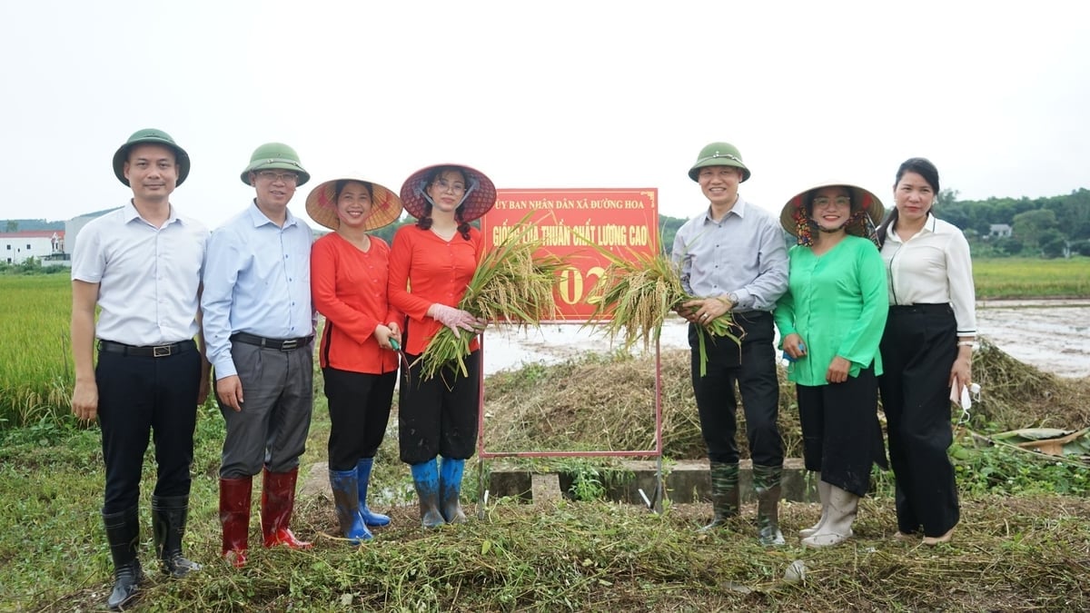 Quang Ninh Agricultural Extension Center följer alltid med människor inom jordbruksproduktionen. Foto: Nguyen Thanh. Trung tâm Khuyến nông Quảng Ninh nluôn đồng hành cùng bà con trong sản xuất nông nghiệp. Ảnh: Nguyễn Thành.