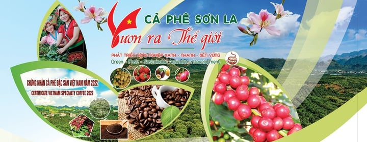 Kết nối để nâng tầm thương hiệu Arabica Sơn La- Ảnh 1.