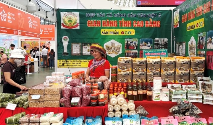 ការអភិវឌ្ឍន៍ផលិតផល OCOP ទាក់ទងនឹងការកសាងម៉ាកយីហោក្នុងស្រុក - រូបថត ១.