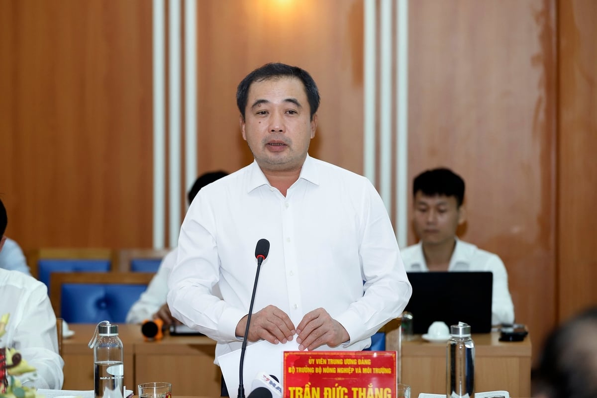Minister Tran Duc Thang delte dette etter å ha inspisert modellen til Que Lam Group. Foto: Khuong Trung. Bộ trưởng Trần Đức Thắng chia sẻ sau khi thị sát mô hình của Tập đoàn Quế Lâm. Ảnh: Khương Trung.