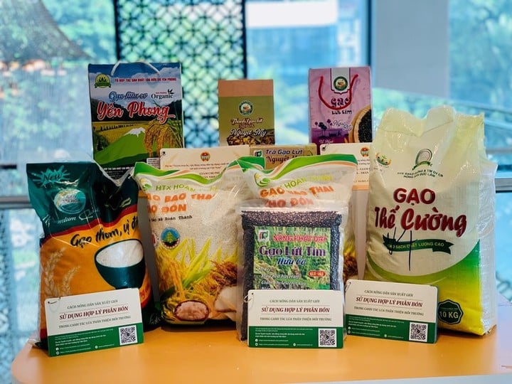 កំណត់ចំណាំសំខាន់ៗស្តីពីសិទ្ធិកម្មសិទ្ធិបញ្ញានៅពេលអាជីវកម្មចូលទីផ្សារចិន - រូបថត ១. Những lưu ý quan trọng về quyền sở hữu trí tuệ khi doanh nghiệp thâm nhập thị trường Trung Quốc- Ảnh 1.