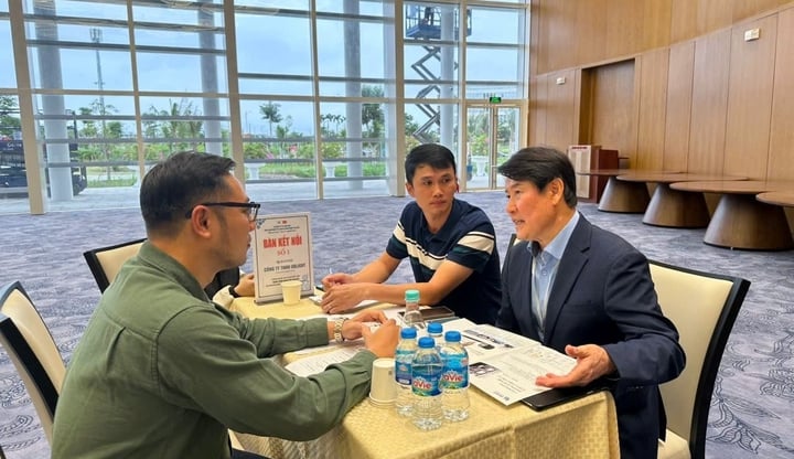 Internationale Zusammenarbeit: Schlüssel zur Förderung von Wissenschaft, Technologie und Innovation in Hai Phong - Foto 1. Hợp tác quốc tế: Chìa khóa thúc đẩy khoa học, công nghệ và đổi mới sáng tạo ở Hải Phòng- Ảnh 1.