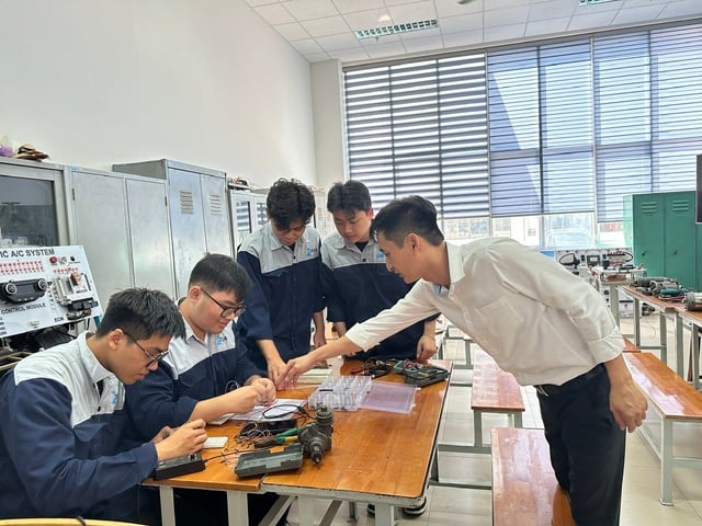 Trường đại học có nên quay lại đào tạo cao đẳng? - Ảnh 2.