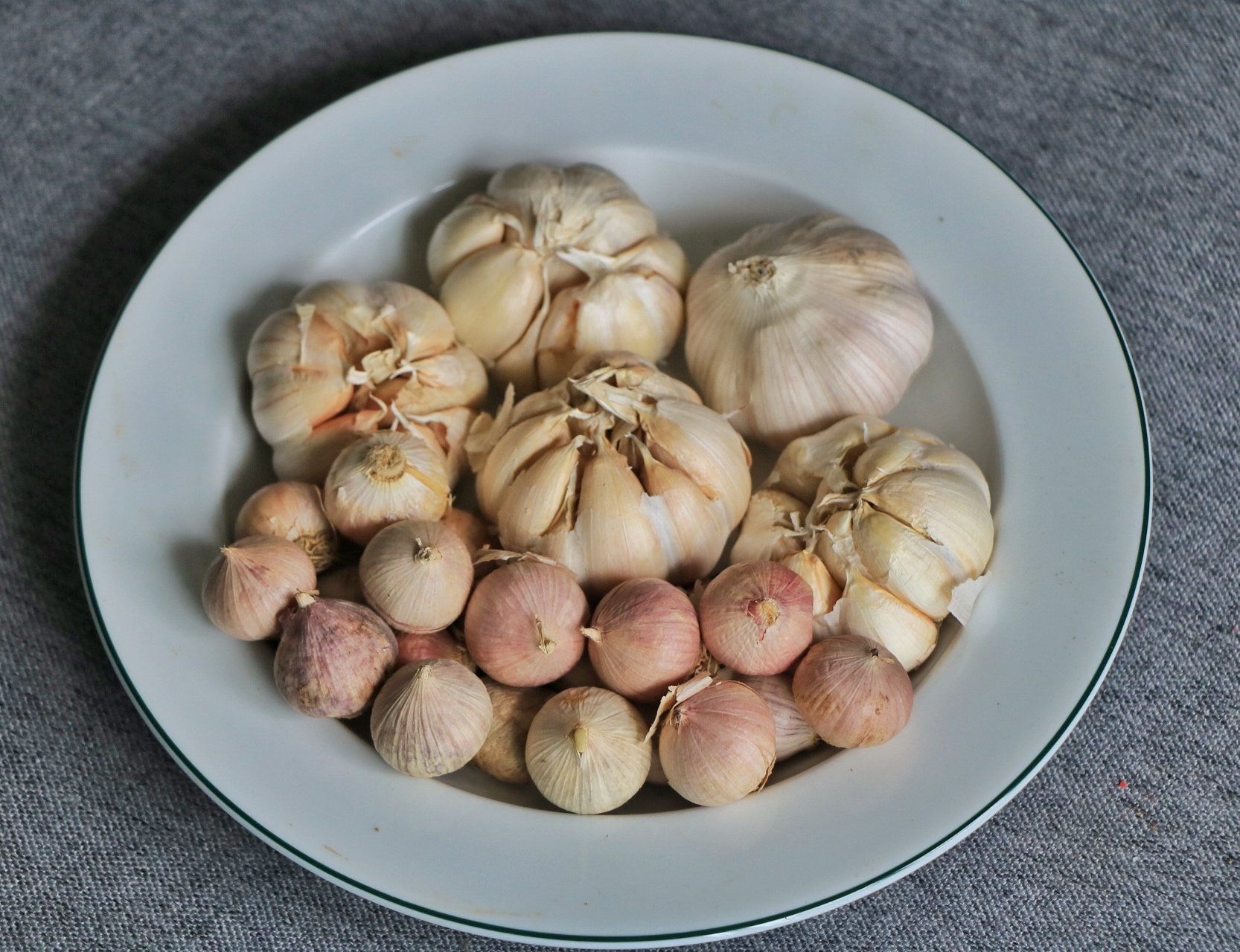 Chi 353 tỉ/tháng ăn tỏi nhập khẩu, vì sao người Việt chuộng tỏi Trung Quốc? - Ảnh 1.