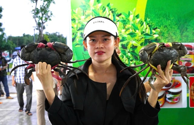 Festivalul crabilor Ca Mau 2025: Transformarea „aromei pădurii - aromei marine” într-un brand național - Fotografia 5. Ngày hội cua Cà Mau 2025: Đưa 'hương rừng - vị biển' thành thương hiệu quốc gia- Ảnh 5.