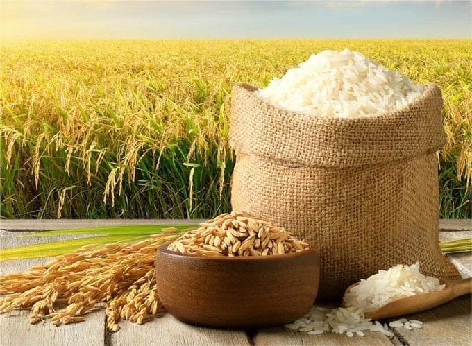 आज 17 नवंबर को चावल की कीमत