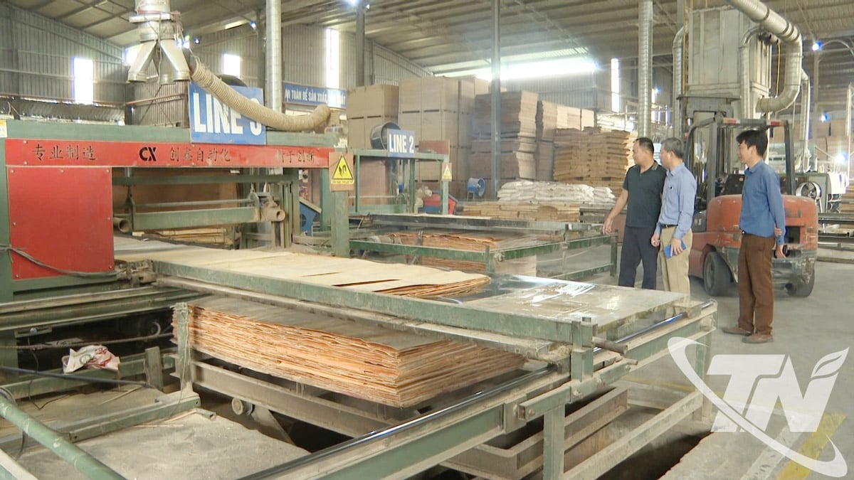 Anh Phuong Vietnam Plywood Production and Export Company Limited (i Da Phuc industripark nr. 3) har opprettholdt stabile produksjonsaktiviteter igjen.