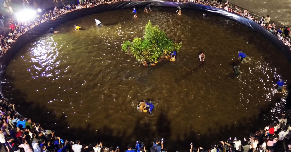 Cà Mau: Độc đáo cuộc thi mò cua giữa quảng trường