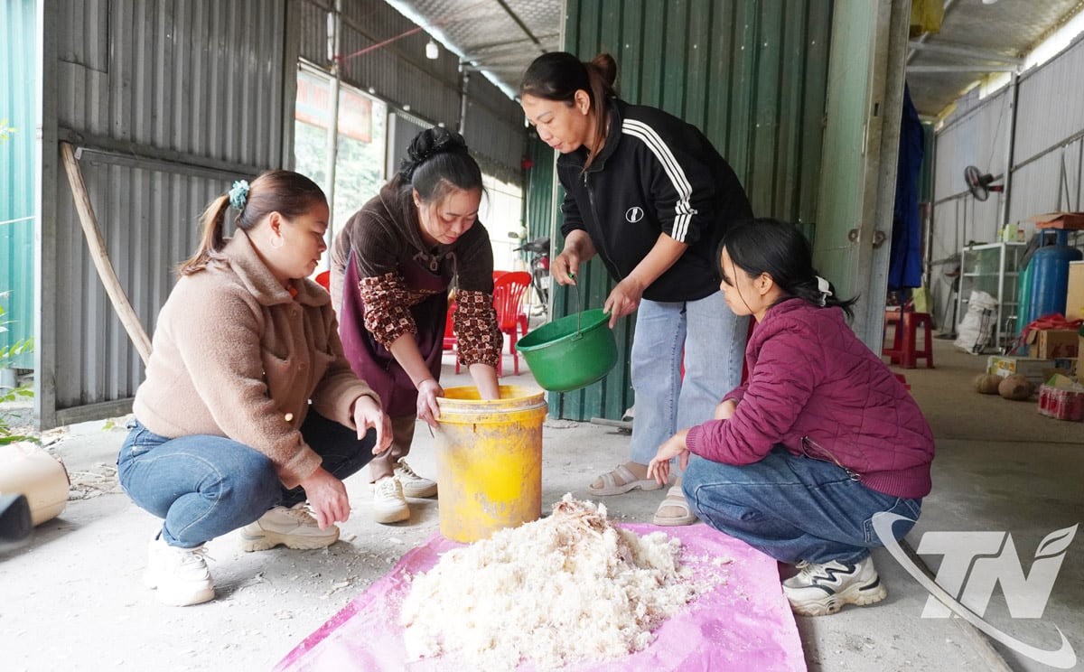 ក្រុមកសិករចំណូលចិត្តនៅភូមិ Vi Ba ឃុំ Bang Van គាំទ្រគ្នាទៅវិញទៅមកក្នុងការអនុវត្តវិធីបង្កាត់អាហារជាមួយប្រូបាយអូទិកធម្មជាតិ។