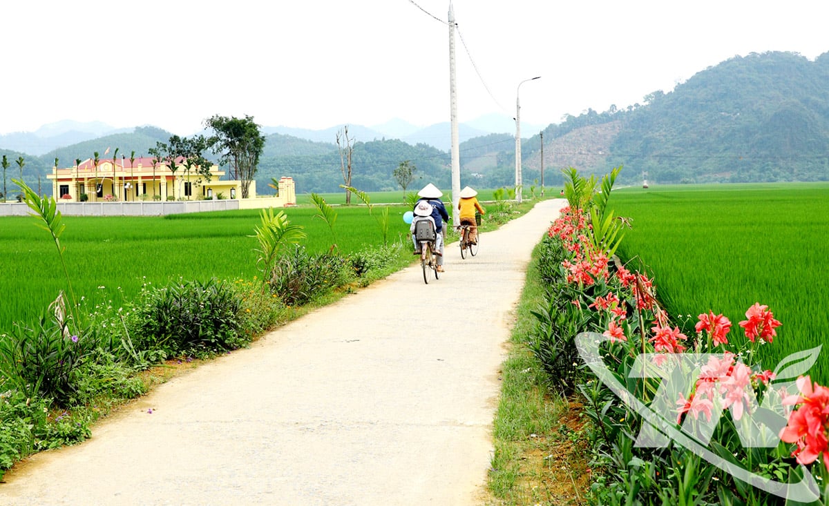 Thai Nguyen tartomány számos faluja napról napra változik, tágas vidéki tájakkal, tiszta betonutakkal, és az emberek élete egyre jobb. A képen: Egy virágos út Dinh Hoa községben.