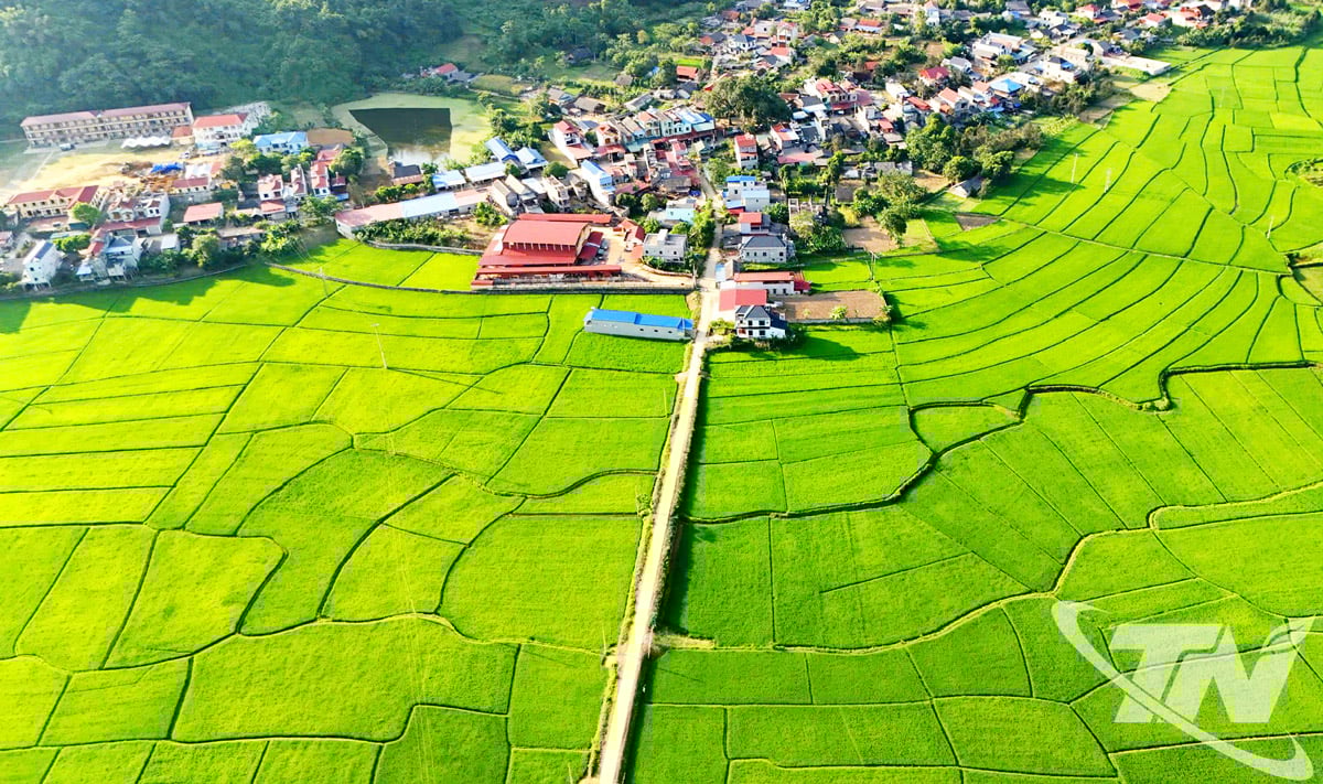 Az Új Vidékfejlesztési Program és az „Öttagú család építése, három tisztaság” kampány megvalósítása során a tartomány számos hegyvidéki és felföldi települése gyorsan változik. A képen: Nam Cuong település egyik szeglete.