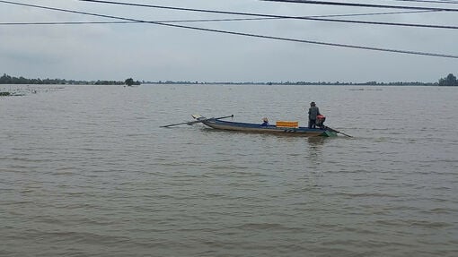 Lũ rút, nông dân ra đồng bắt cá