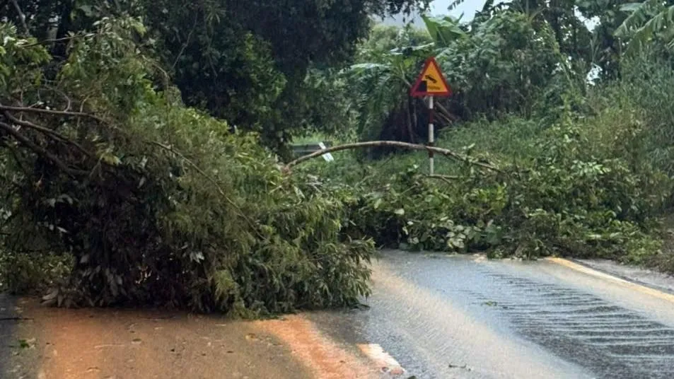 ມີດິນເຈື່ອນຢ່າງໜ້ອຍ 12 ແຫ່ງຢູ່ດ່ານໜອງໝຶກ.