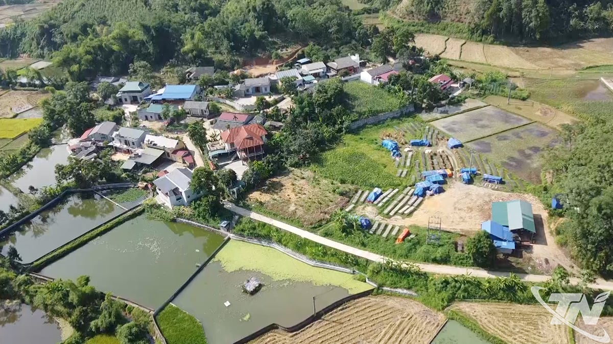 Casele solide ale minorităților etnice din zonele muntoase și dealuri contribuie la înfrumusețarea noului tablou rural.