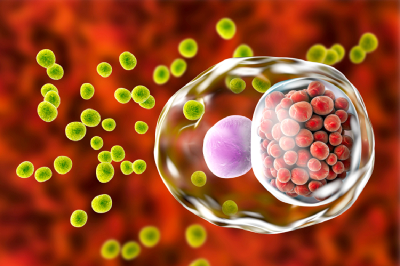 Bệnh&nbsp;Chlamydia&nbsp;có&nbsp;thể&nbsp;gây&nbsp;vô&nbsp;sinh- Ảnh 1.