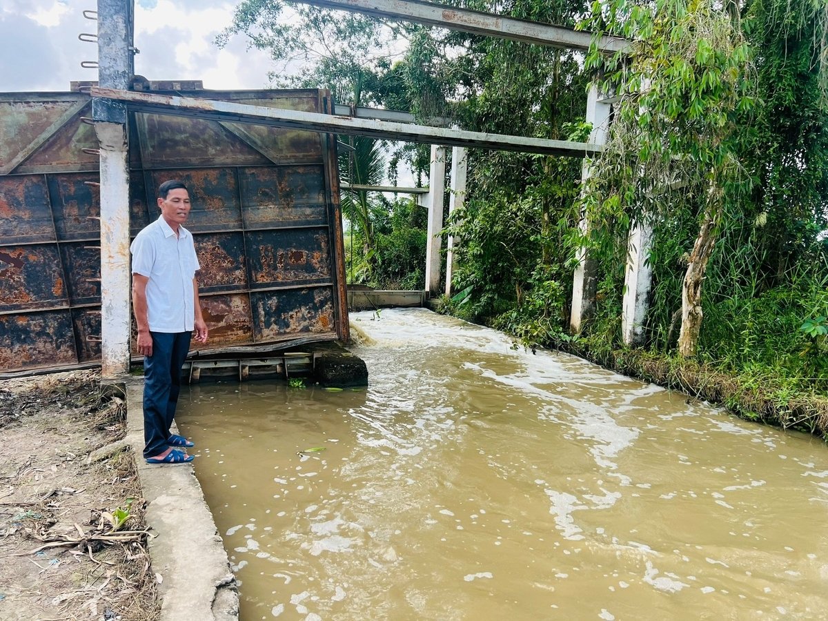 សូមអរគុណចំពោះការចូលរួមក្នុងសហករណ៍នេះ គ្រួសារនានាបានបូមទឹកយ៉ាងសកម្មនៅពេលមានជំនោរកើនឡើង។ រូបថត៖ Trong Linh។ Nhờ tham gia HTX, các hộ dân chủ động bơm nước khi triều cường dâng cao. Ảnh: Trọng Linh.