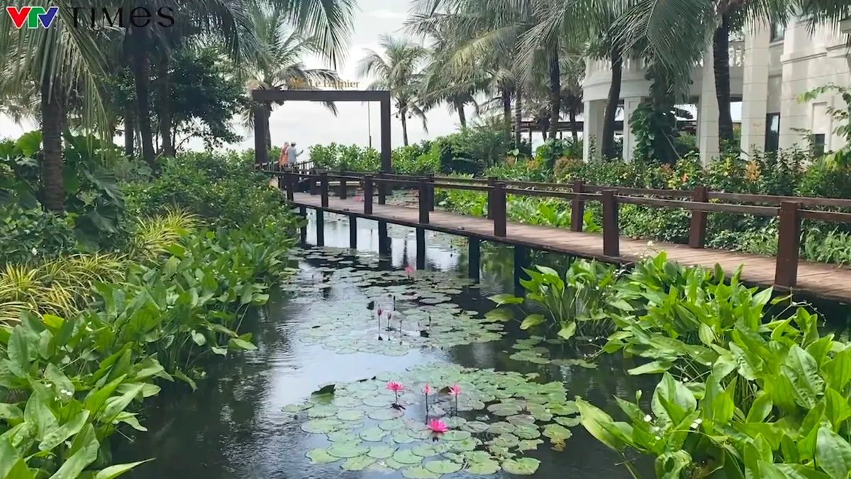 Ho Tram se stává novým „turistickým centrem“ Ho Či Minova Města - Foto 2. Hồ Tràm trỗi dậy thành “thủ phủ du lịch” mới của TP Hồ Chí Minh- Ảnh 2.