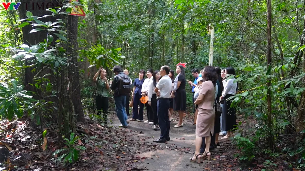 Ho Tram se stává novým „turistickým centrem“ Ho Či Minova Města – Foto 5. Hồ Tràm trỗi dậy thành “thủ phủ du lịch” mới của TP Hồ Chí Minh- Ảnh 5.