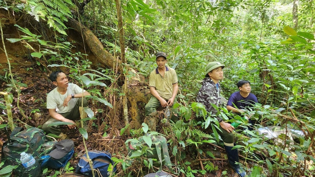 Громада буферної зони об'єднує зусилля для захисту лісу. Фото: Туан Ань. Cộng đồng người dân vùng đệm chung tay giữ rừng. Ảnh: Tuấn Anh.