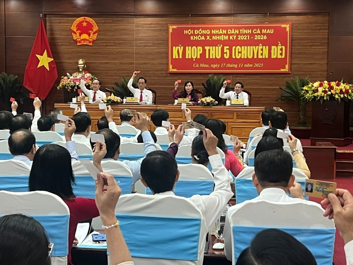 100 % av folkerådets delegater i Ca Mau-provinsen stemte enstemmig for å velge Lu Quang Ngoi, visesekretær i den provinsielle partikomiteen, til å inneha stillingen som leder av den provinsielle folkekomiteen for perioden 2021–2026. 100% Đại biểu HĐND tỉnh Cà Mau thống nhất 100% tín nhiệm bầu ông Lữ Quang Ngời, Phó Bí thư Tỉnh ủy, giữ chức Chủ tịch UBND tỉnh, nhiệm kỳ 2021 - 2026.