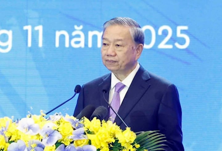 Tổng Bí thư: Thanh tra phải đi trước một bước, không để tích tụ sai phạm lớn - Ảnh 1.